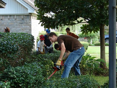 This is an image of residential tree service in Carlsbad, CA.