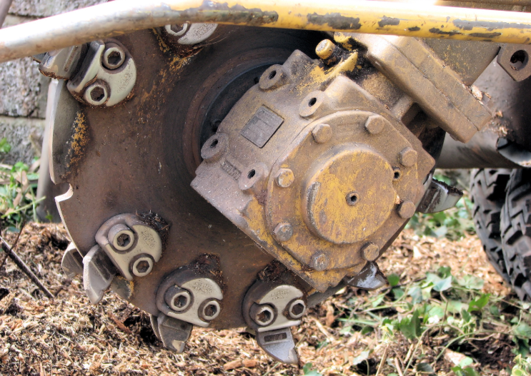 this image shows stump removal in Carlsbad