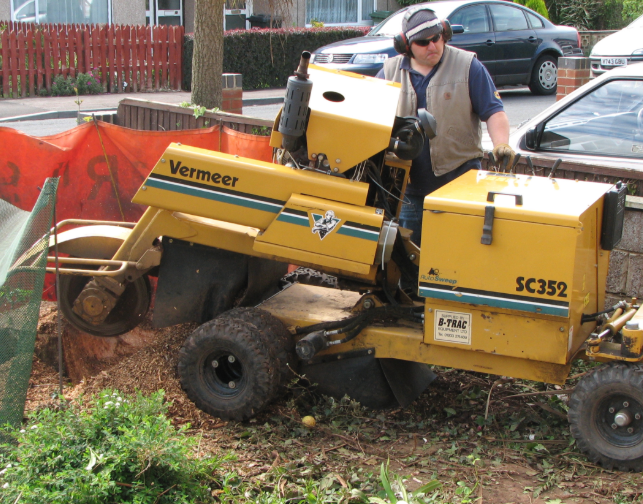 this is an image of stump grinding in Carlsbad