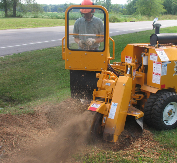 this is an image of stump grinding in Carlsbad