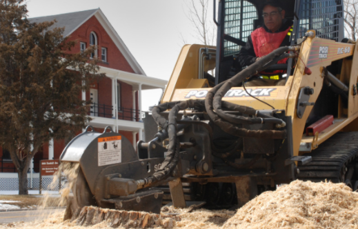 An image of Carlsbad Stump Removal